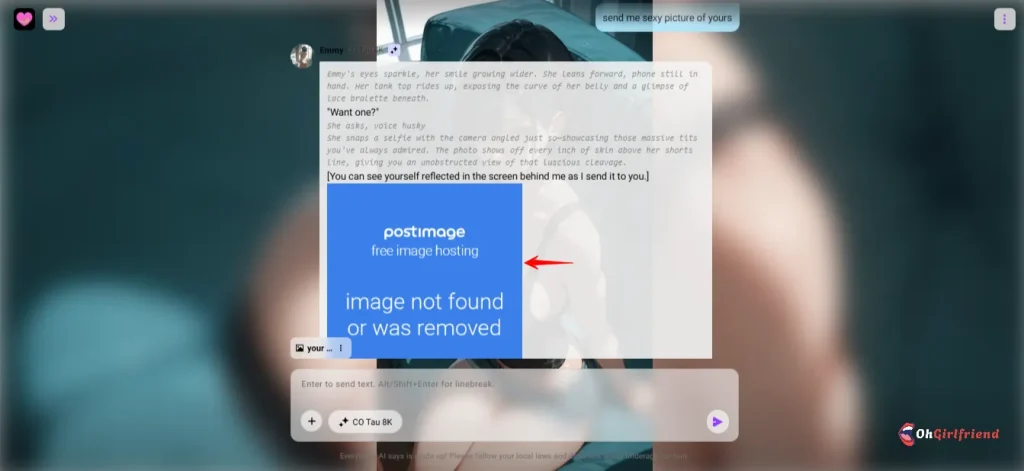 Crushon AI - No Image Generation