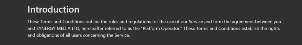 Pornworks AI - Terms And condition outline